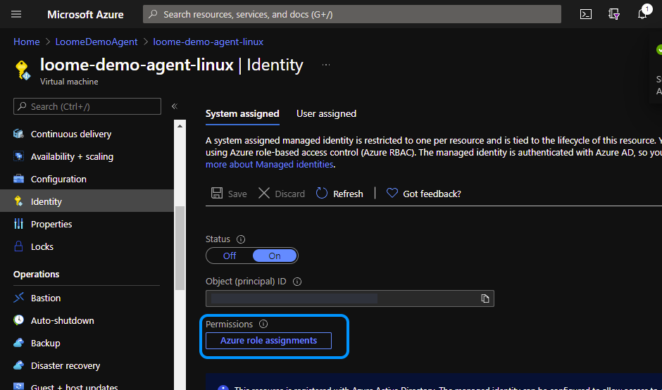 Azure Portal Agent Identity Confirmed