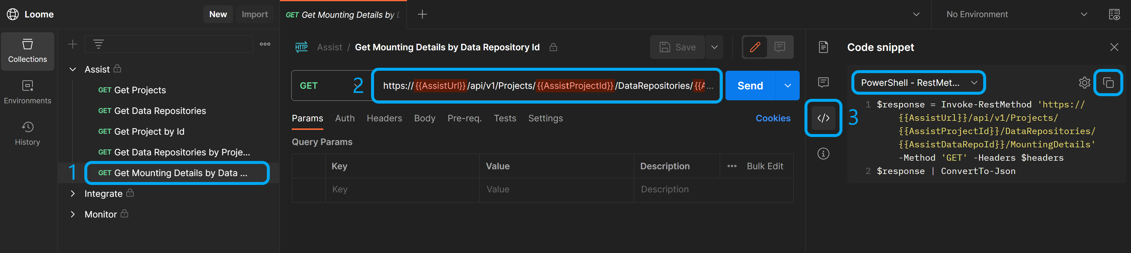 Get Mounting Details by Data Repository Id endpoint