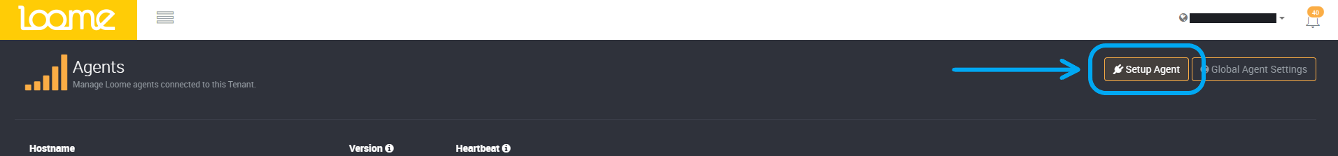 Setup Agent