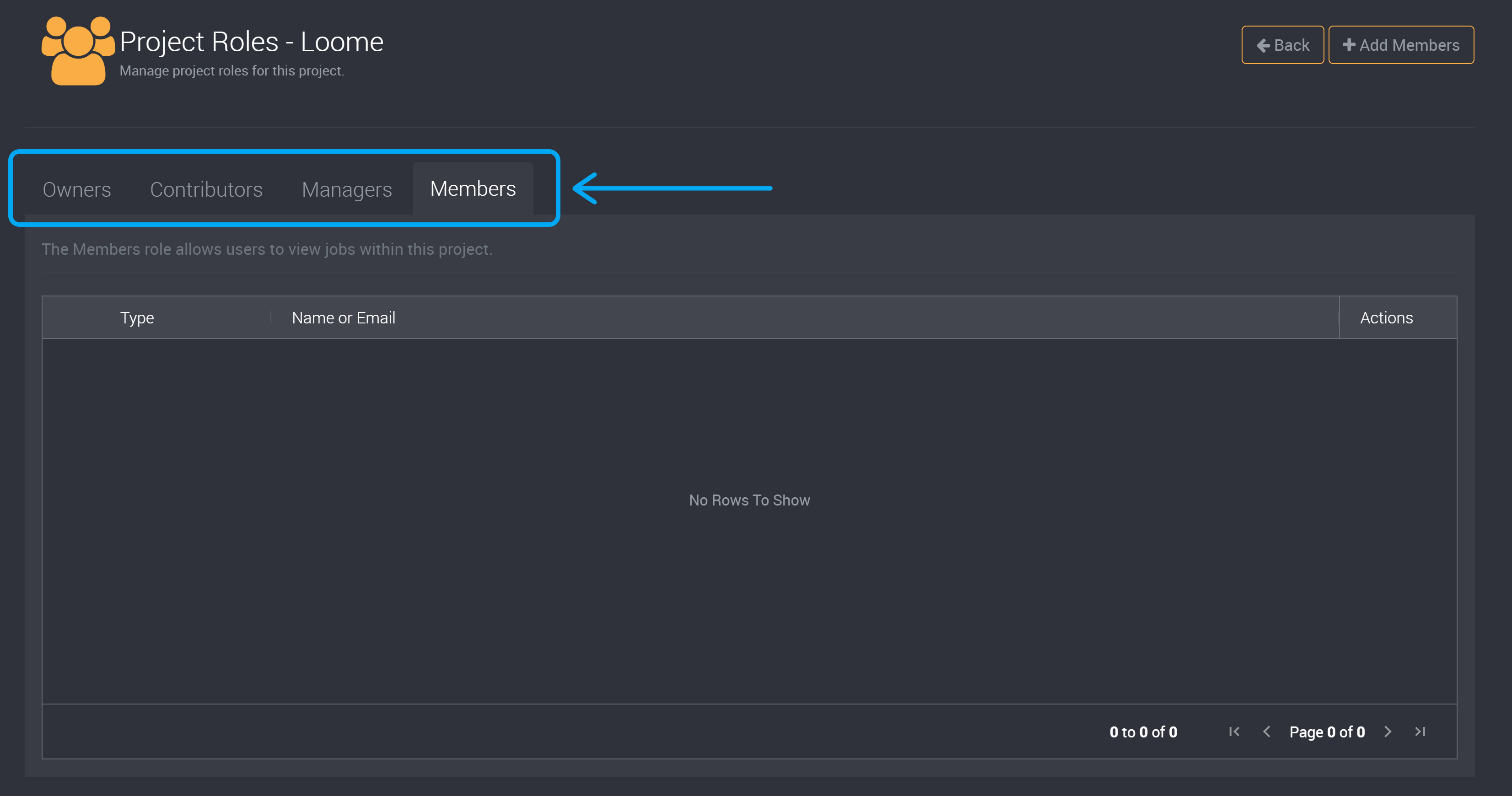 Project roles tabs