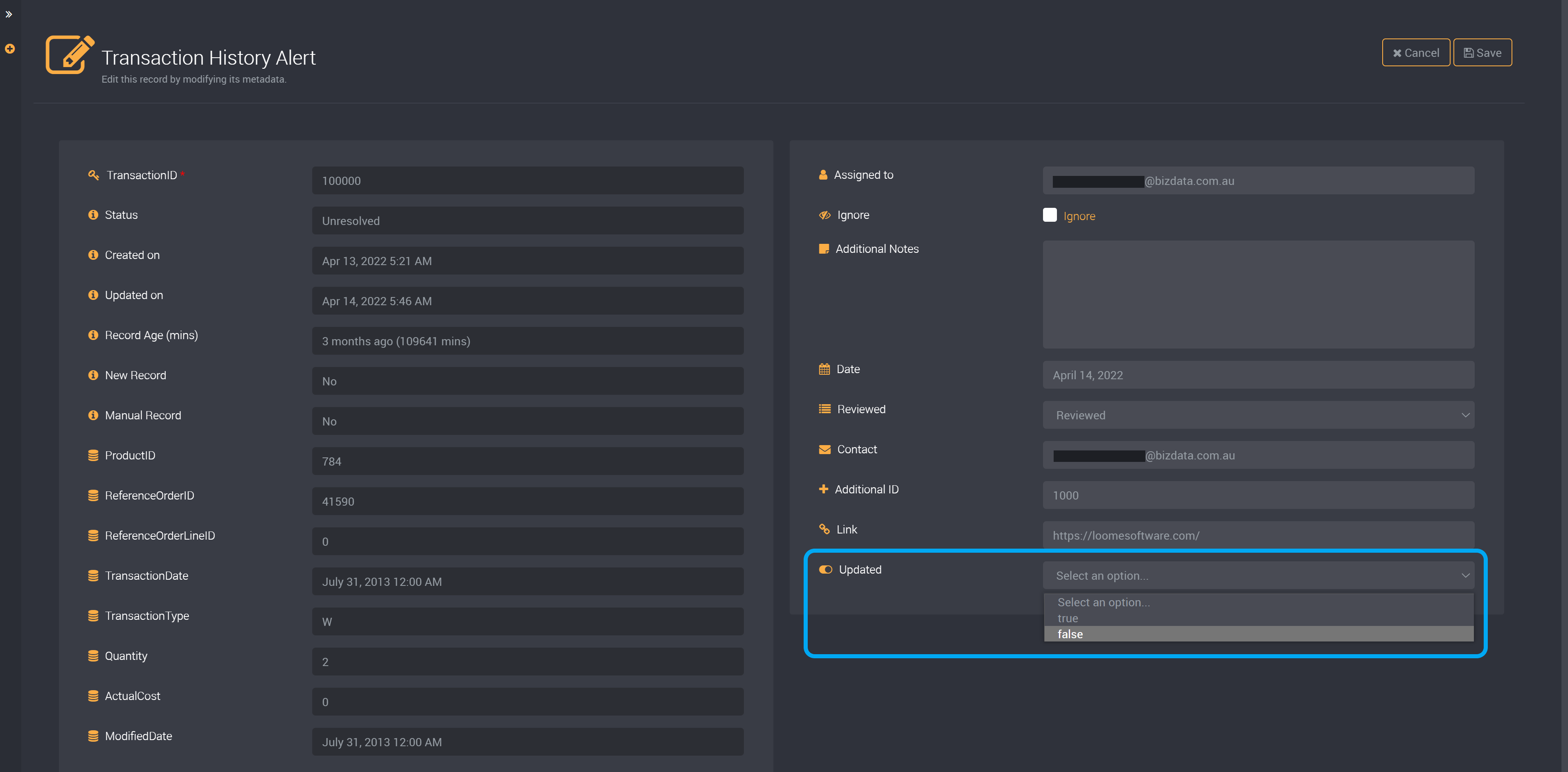 Boolean custom field